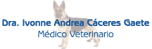Veterinaria Dra. Ivonne Cáceres Gaete