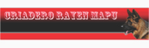 Rayen - Mapu