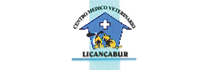Clínica Veterinaria Licancabur