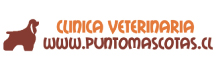 Punto Mascotas