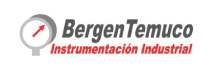 Bergen Temuco Instrumentacion Industrial