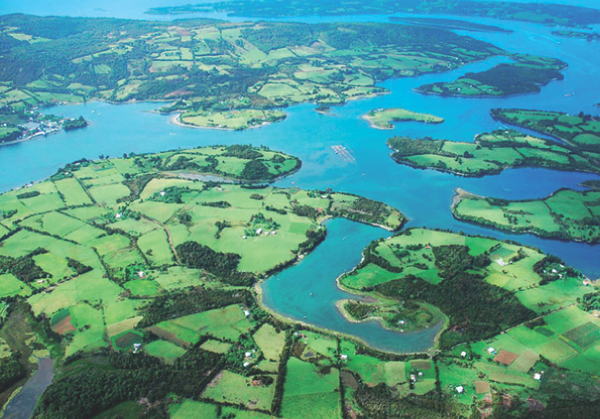 Parque Natural Rio Bravo Lodge