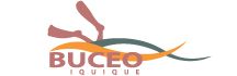 Buceo Iquique