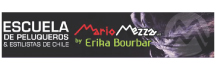 Escuela de Peluqueros y Estilistas de Chile Mario Meza - Erika Bourbar