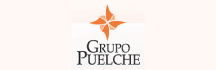 Puelche S.A.