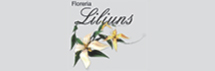 Florería Liliuns