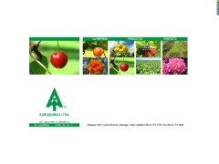 agroquimica_cl