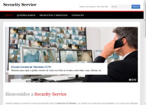alarmassecurityservice_cl