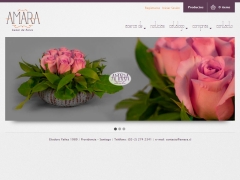 amara_cl