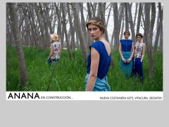 anana_cl