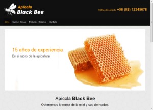 apicolablackbee_cl