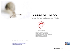 caracolunido_cl