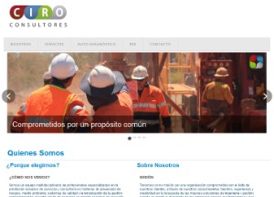 ciroconsultores_cl