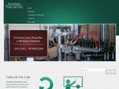 consultoresasociadoschile_com