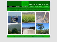 forestaldelsur_cl