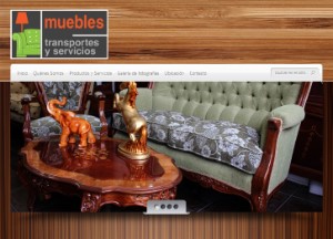 mueblestransportesyservicios_cl
