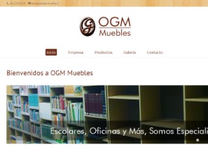 ogmmuebles_cl