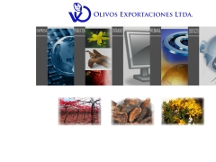 olivosexportaciones_cl