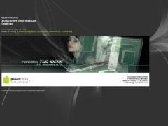 pinerchile_com