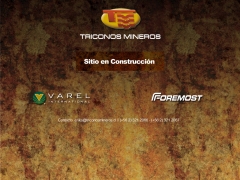 triconosmineros_cl