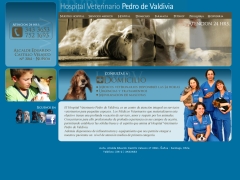 veterinariapedrodevaldivia_cl