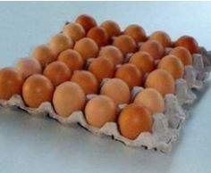 bandeja de huevos frutagro