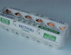 docena de huevos frutagro