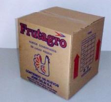 caja de transporte huevos frutagro