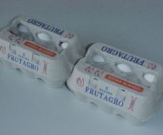 media docena de huevos frutagro