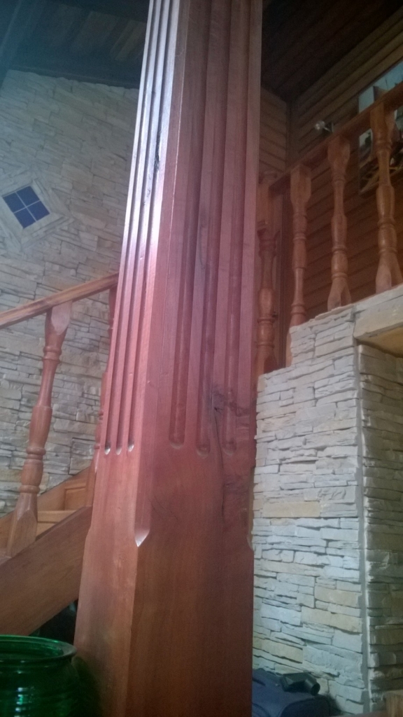 proyectos madera nativa chilena