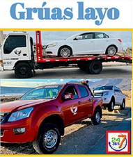 GRUAS LAYO